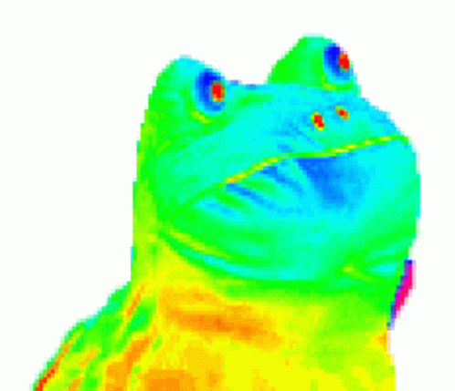 Psychedelic Frog Vibing GIF