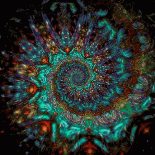 Psychedelic Spiral Fractal GIF