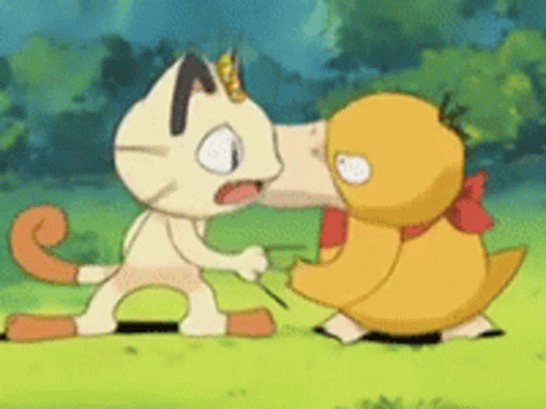 Psyduck And Meowth Fighting GIF