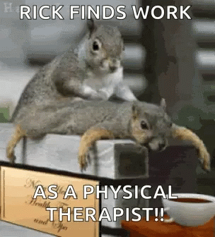 Pt Physical Therapist Little Squirrel GIF