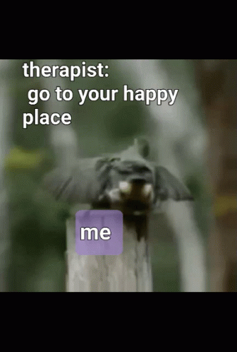 Pt Physical Therapy Bird Mating Dance Meme GIF