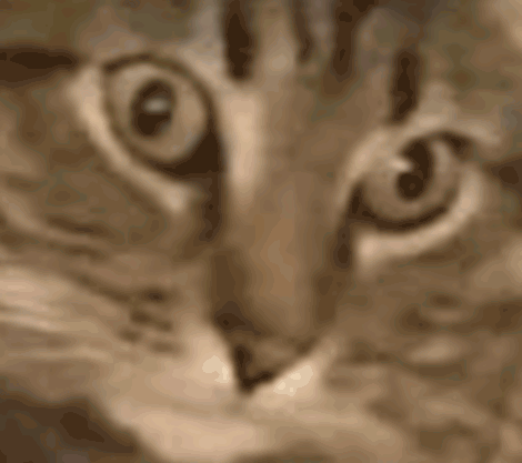 Ptsd Dazed Cat Eyes Flashback Meme GIF