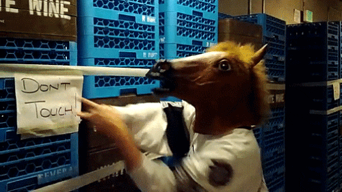 Ptsd Meme Don't Touch Horse Mask GIF