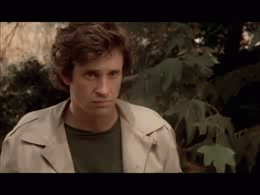 Ptsd Ted Striker Airplane Meme GIF