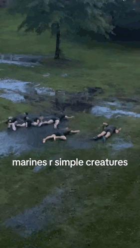 Puddle Saying Marines R Simple Creatures