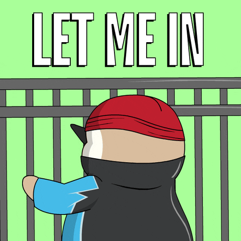 Pudgy Penguin Begging Let Me In Meme GIF