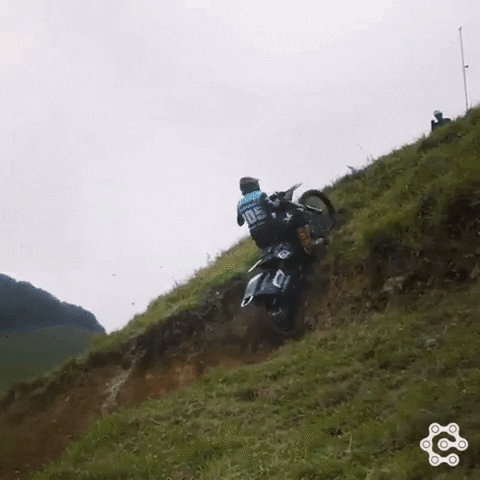 Pudgy Penguin Enjoying Dirt Bike Ride GIF