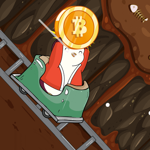 Pudgy Penguin Holding Bitcoin In Roller Coaster Car GIF