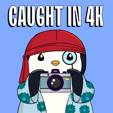 Pudgy Penguin Holding Camera Caught In 4k GIF