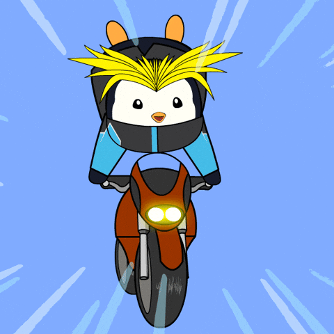 Pudgy Penguin On Speeding Motorcycle GIF