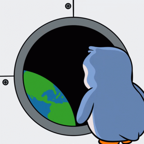 Pudgy Penguin Rocket Falling To Earth GIF