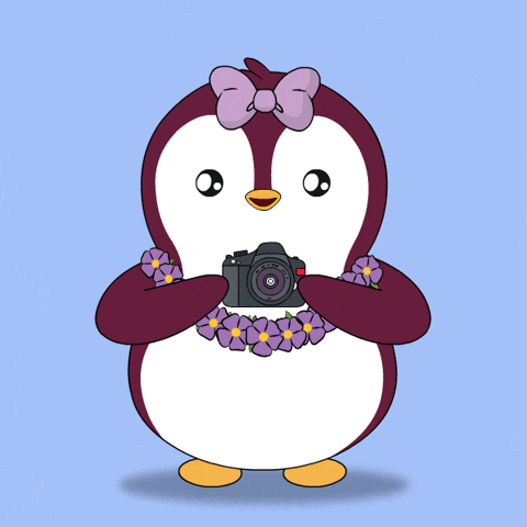 Pudgy Penguin Snapping Picture Smile GIF