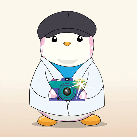 Pudgy Penguin Snapping Pictures GIF