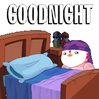 Pudgy Pudgypenguin Sticker GIF