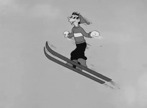 Pudgy's Ski Fell In The Middle Of Air GIF