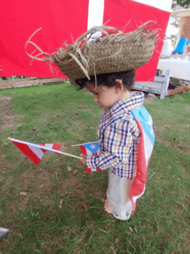 Puerto Rico Father And Son GIF