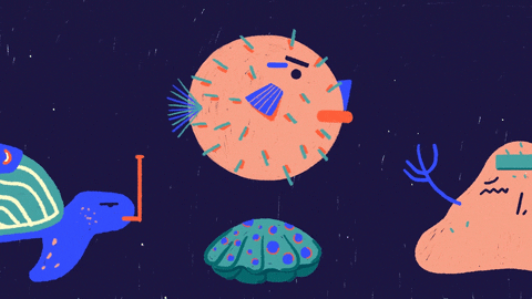 Pufferfish Clam Pearl GIF