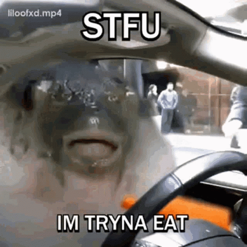 Pufferfish Stfu Carwash GIF