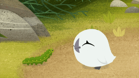 Puffin Rock And Caterpillar GIF