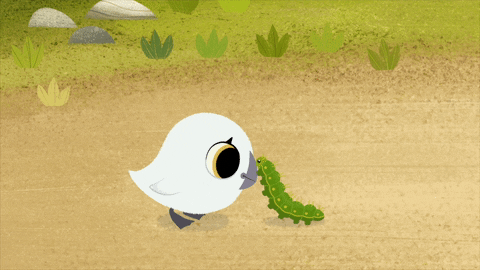 Puffin Rock And Caterpillar Hugging GIF