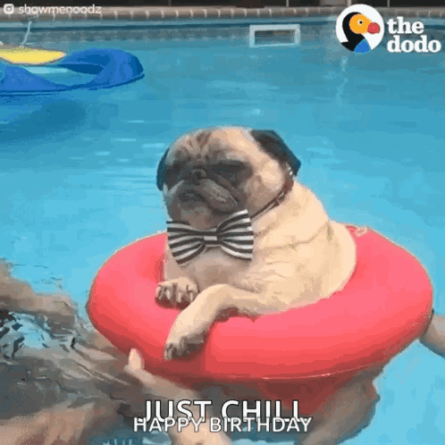 Pug Dog in Bow Tie on Red Raft