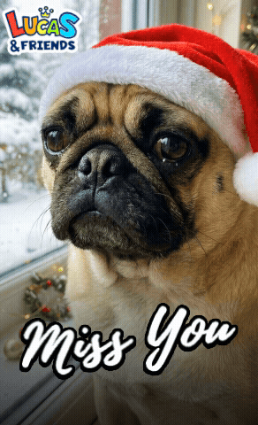 Pug Dog Santa Hat Lucas & Friends GIF