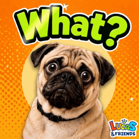 Pug Dog With Lucas & Friends GIF