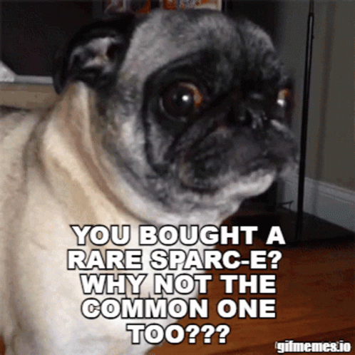Pug Dog You Bought a Rare Sparc-e