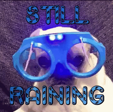 Pug In Blue Glasses Still Raining GIF