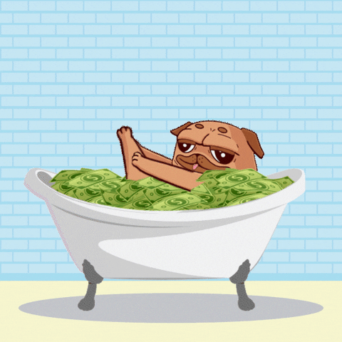 Pug In Money Bath Tub Meme GIF