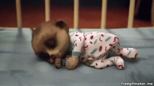 Pug Puppy Sleeping with Donut on Head