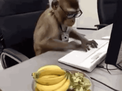 Pug Saying I'm a Workin Dawg