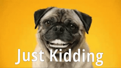 Pug Smiling Saying Just Kidding