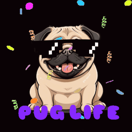 Pug Wearing Sunglasses Surrounded by Confetti Puglife