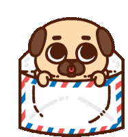 Puglie Pug Puglie Sticker GIF