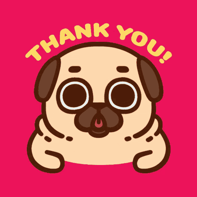 Puglie Puglie Pug Gif GIF