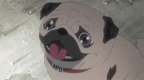 Pugs Anime Explosion GIF