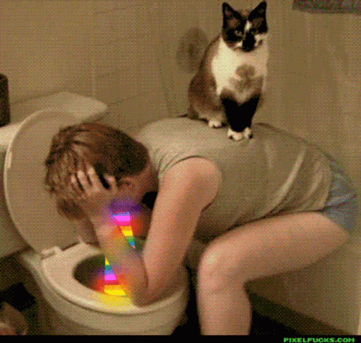 Puking Rainbow In The Toilet GIF