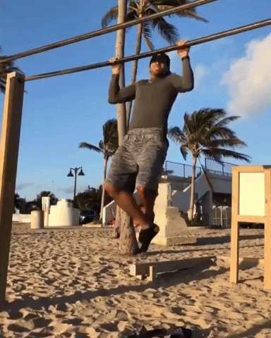 Pull Up Beach Work Out GIF