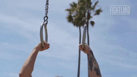 Pull Up Connor Mc Gregor GIF