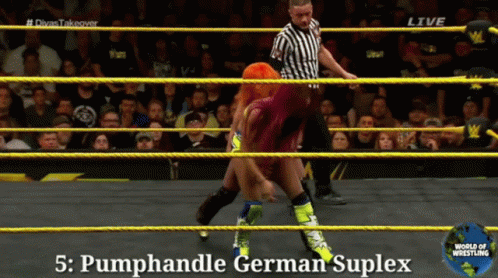 Pump Handle German Suplex GIF