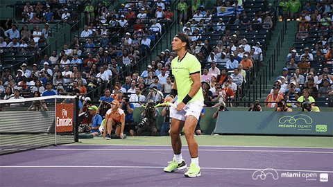 Pumped Rafael Nadal Muscle Flex GIF