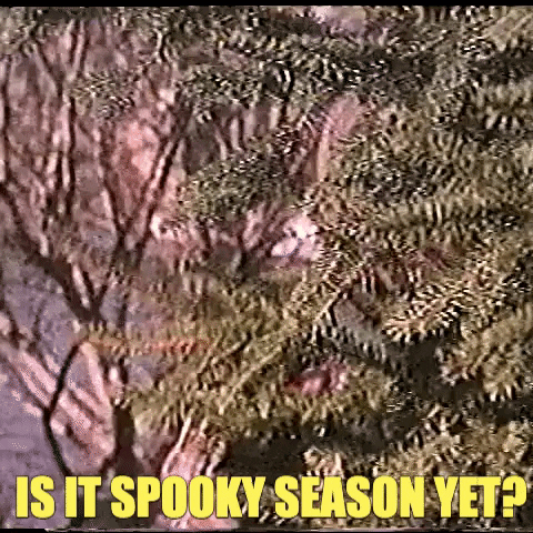 Pumpkin Man Is It Spooky Season Yet? GIF