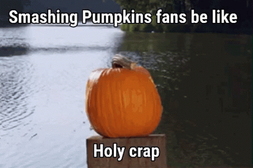 Pumpkin on Wooden Block Next to Water