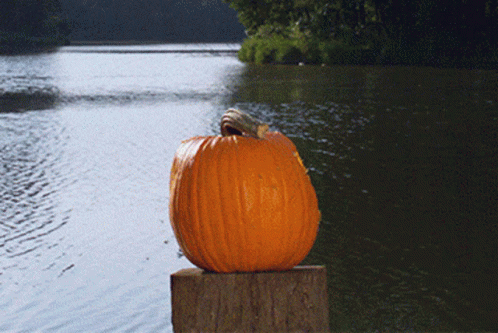 Pumpkin on Wooden Post by Lake