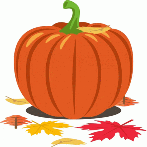 Pumpkin Season For Pumpkin Spice GIF