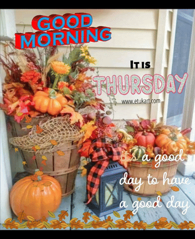 Pumpkins and Leaves Good Morning It Is Thursday