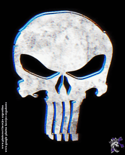 Punisher Skull with Website