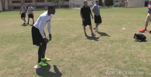 punt-498-x-255-gif-v093pxyzbz6qtyo7.gif
