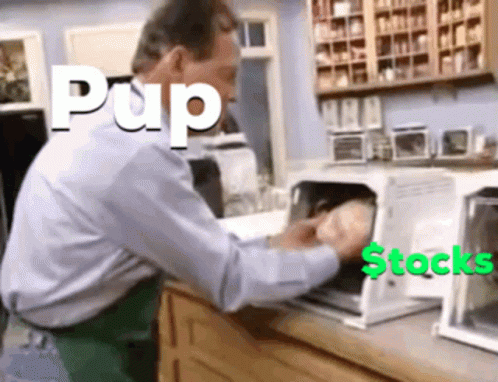 Pup And Stocks Set It And Forget It GIF